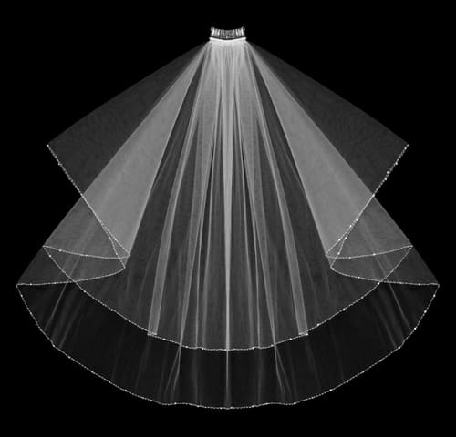 2-layered veil